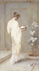 Divinement belle
