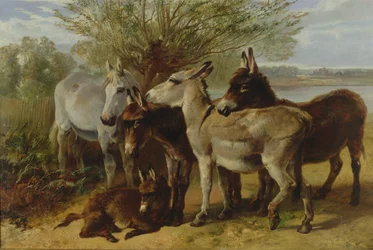 Amis humbles