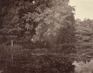 [Étang dans un parc, Surrey]