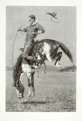 Un bronco qui se bouscule