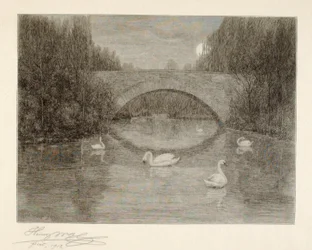 Soirée, Lac des Cygnes, Central Park, New York