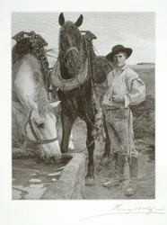 Les chevaux à l
