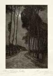 Clair de lune en Hollande