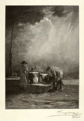 Oxen Drinking