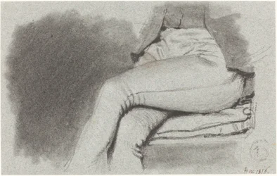 Étude des jambes d