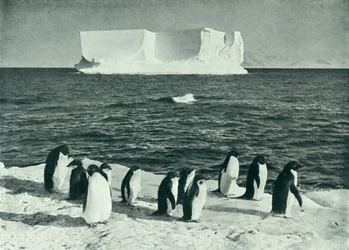 Un iceberg dérivant dans le détroit de McMurdo