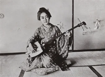 Une Geisha jouant du Samisen (photo)
