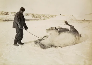 Un homme et son cheval dans la neige