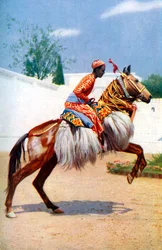 Un cheval dansant arabe, Udaipur, Inde, 1922