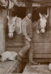 Le capitaine Oates et les poneys sur le Terra Nova, vers 1910-1912