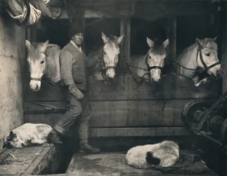 Capitaine Oates sur le Terra Nova avec les poneys sibériens