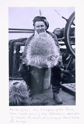 David Lille, biologiste de la 