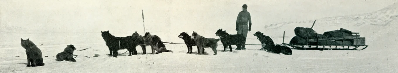 Chiens avec des provisions sur le point de quitter Hut Point, vers 1911, 1913
