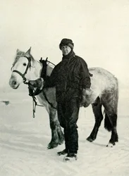 Dr. Wilson et le poney Nobby, vers 1911, 1913