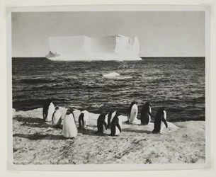 Iceberg à la dérive au large du cap Royds