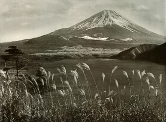 Fuji et l