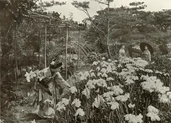 Dans un jardin d