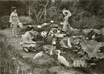 Au pays des lotus, 1910
