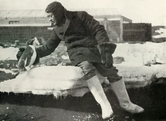 Lieut. Rennick et un pingouin amical, 1911, 1913