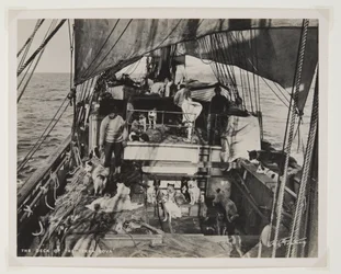 Le pont du Terra Nova