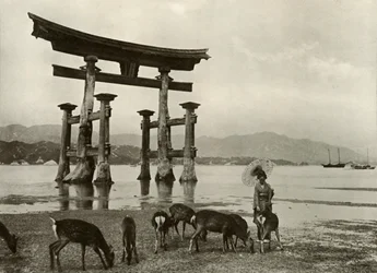 Le vieux Torii à Miyajima, 1910