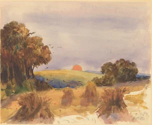 Un champ de blé au coucher du soleil