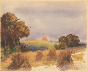 Un champ de blé au coucher du soleil