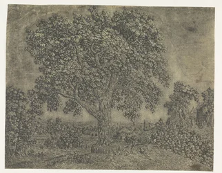 Le Grand Arbre