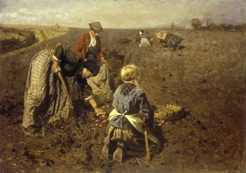 La Récolte des pommes de terre