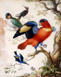 Quatre oiseaux en bois