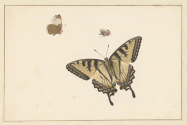 Trois papillons