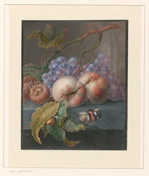 Fruits avec un papillon et un escargot