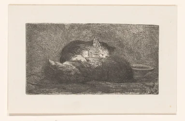 Deux chats