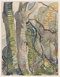 Paysage forestier