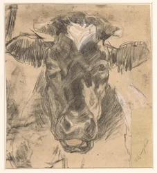 Tête de vache