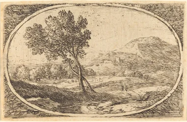 Un paysage avec un grand arbre