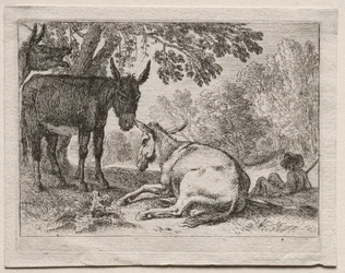 Ânes