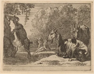 Chèvres