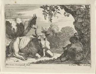 Vaches