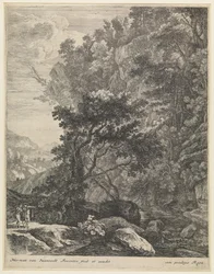 Paysage avec ruisseau de montagne