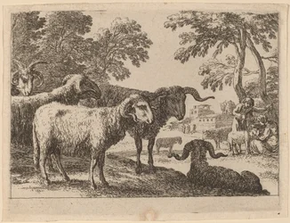 Béliers