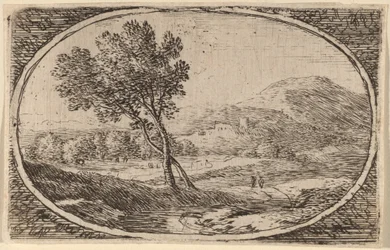 Deux arbres aux troncs croisés