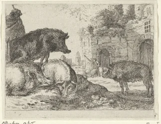 Cochons
