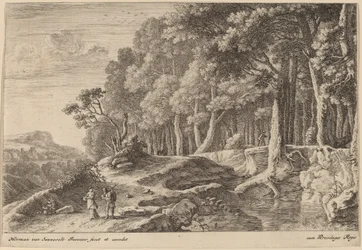Bois Bordé par un Ruisseau