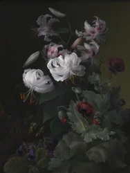 Plantes à fleurs
