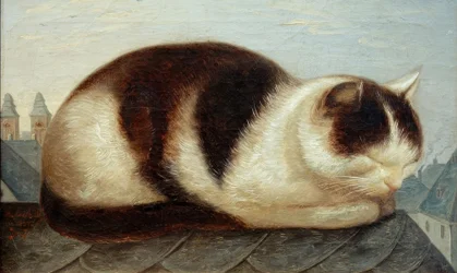 Chat