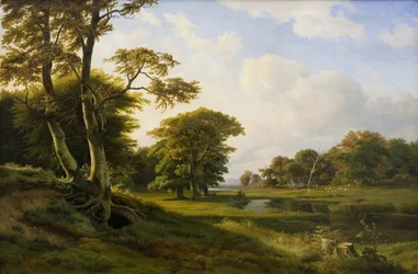 Paysage forestier près de Hellebæk. Automne