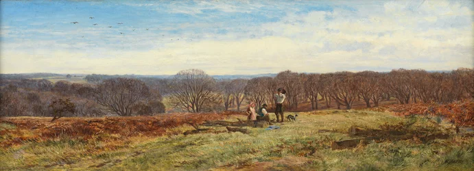 Dans la New Forest, Hampshire