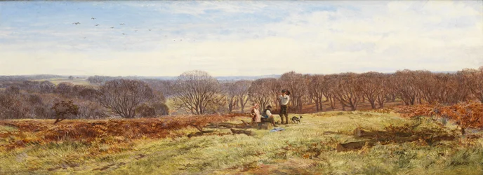 Dans la New Forest, Hampshire