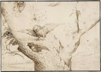 Nid de hiboux. Vers 1505-10